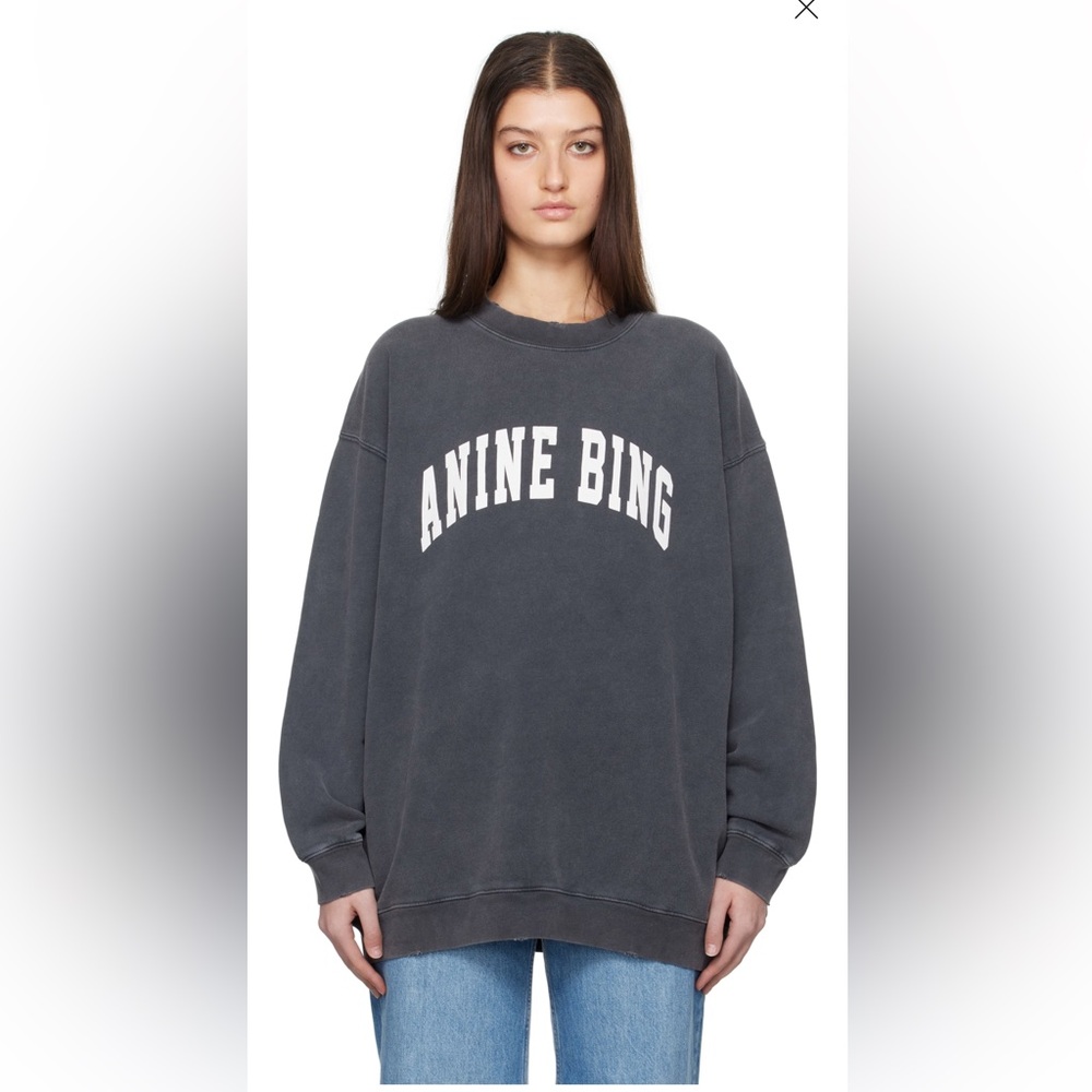 Anine Bing grey Tyler Sweatshirt